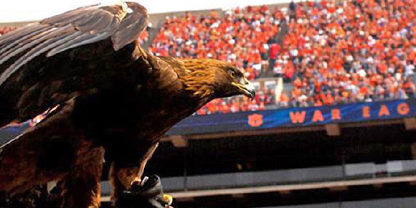 War Eagles to visit Russell Crossroads - Russell Lands